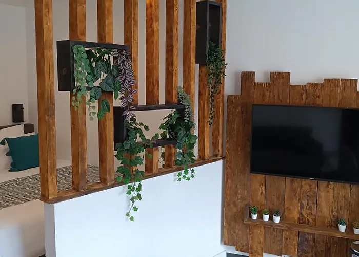 L'escapade Cevenole 公寓 Le Collet-de-Dèze